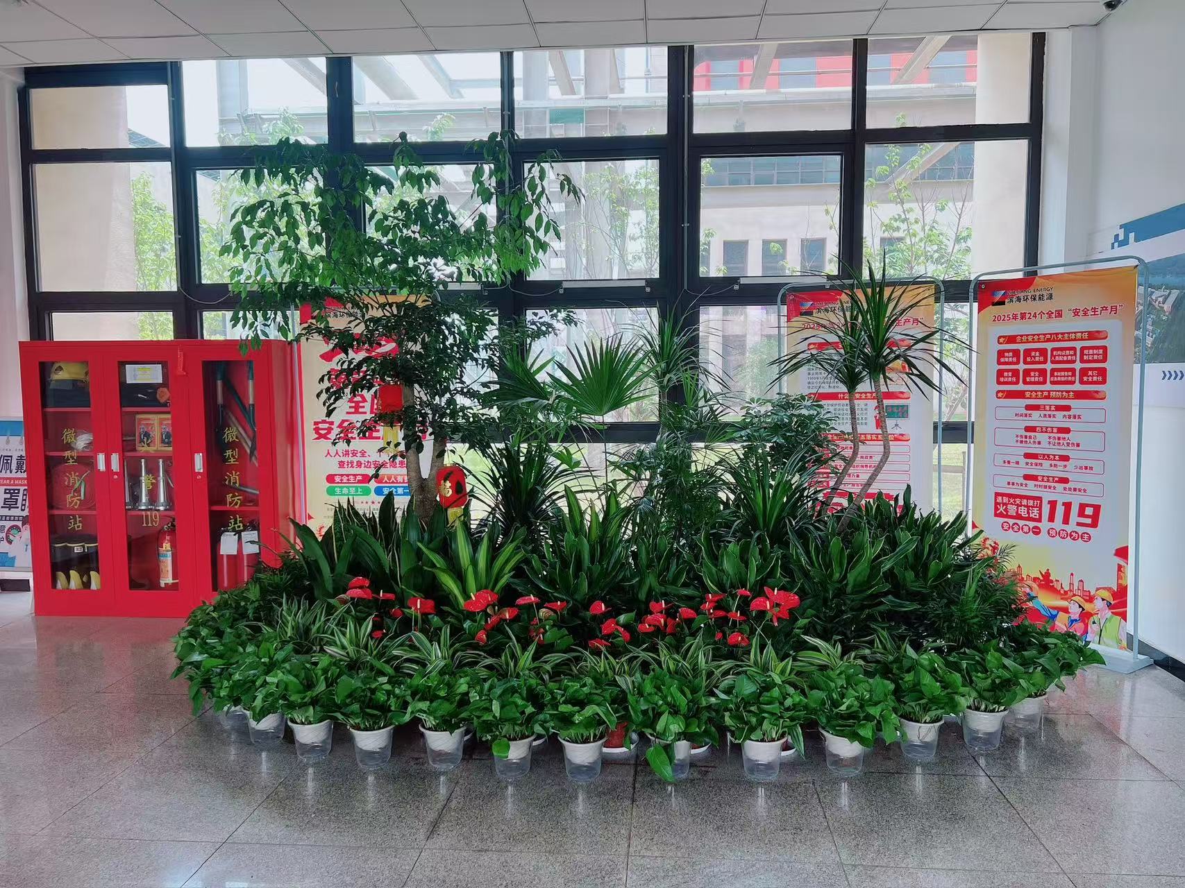 宁波江北花卉租赁设计，让空间弥漫自然芬芳